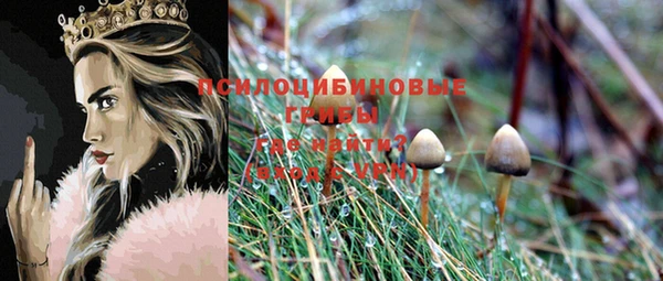 эйфоретик Белоозёрский