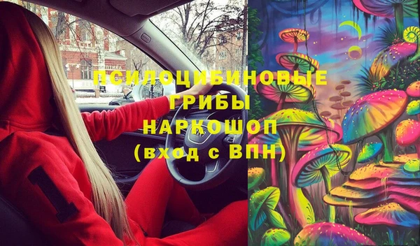 дурь Белокуриха