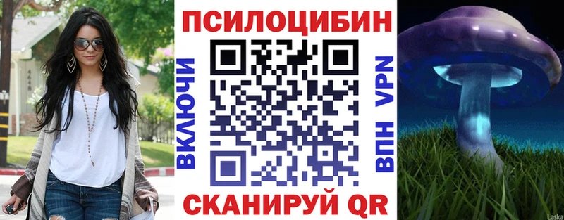 хочу Бугульма Псилоцибиновые грибы Psilocybe