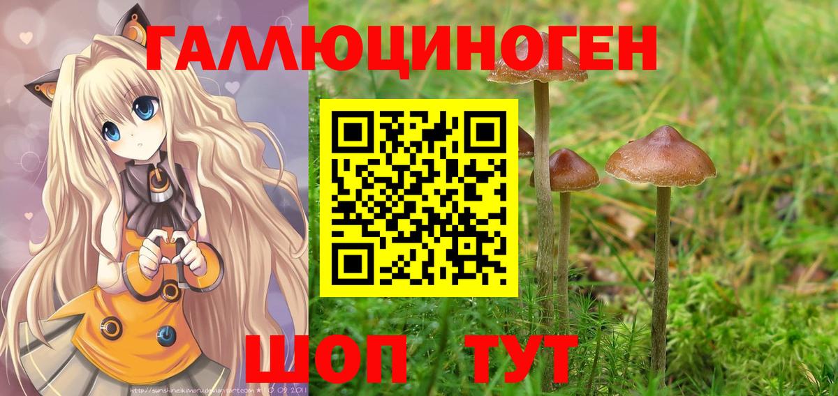 Псилоцибиновые грибы Magic Shrooms  наркота  Бугульма  Вход с VPN  Псилоцибиновые грибы Magic Shrooms 